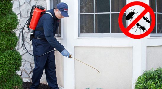 Halkapınar Böcek İlaçlama böcek ilaçlama ve haşere kontrolü — ilaclama-tr.com